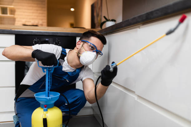 Reliable Olympia, SC Pest Control Solutions