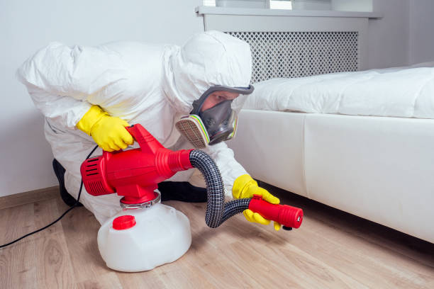 Best Termite Control Services  in Olympia, SC