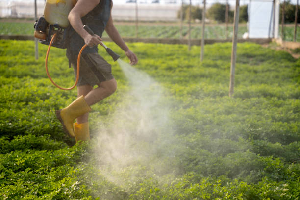 Best Exterminator Services  in Olympia, SC