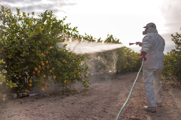 Best Pest Control Near Me in Olympia, SC