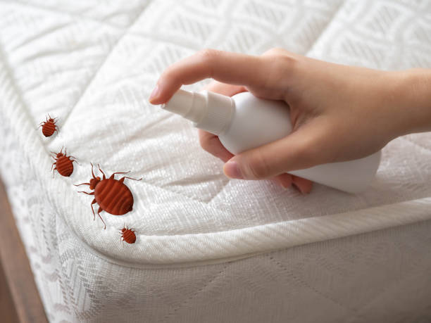 Best Pest Control Near Me  in Olympia, SC