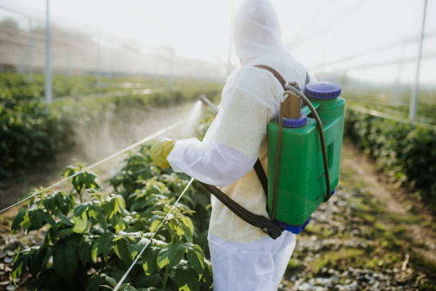 Best Wildlife Control Services  in Olympia, SC